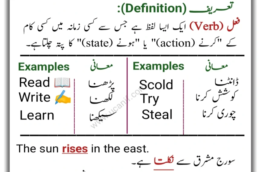 Verbs in Urdu, verb meaning in urdu