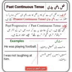 Past Continuous Tense in Urdu, Past Continuous Tense in Urdu and English, Past Continuous Tense Examples in Urdu, Past Continuous Tense Sentences in Urdu