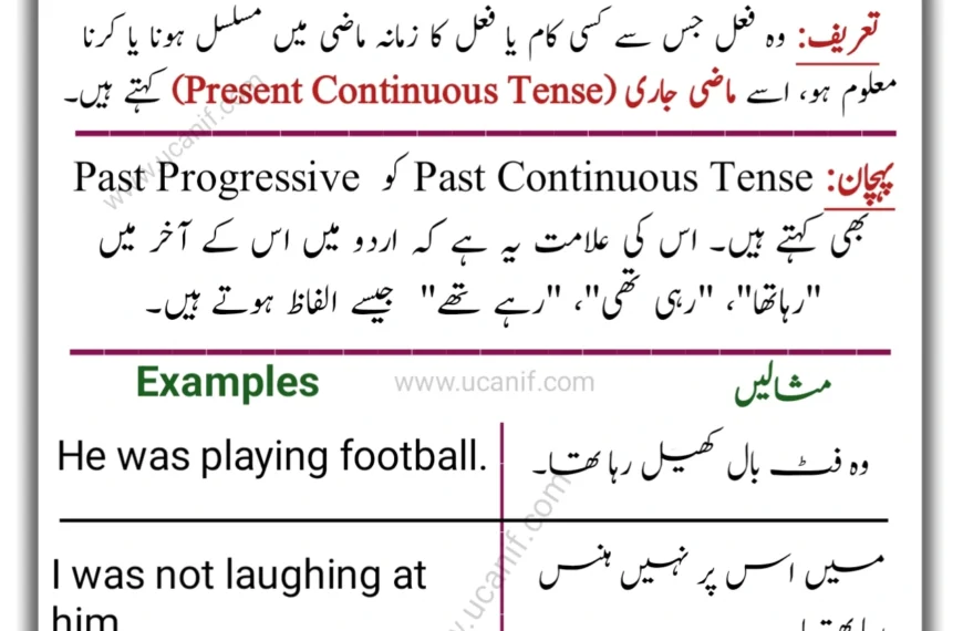 Past Continuous Tense in Urdu, Past Continuous Tense in Urdu and English, Past Continuous Tense Examples in Urdu, Past Continuous Tense Sentences in Urdu