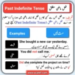 Past Indefinite Tense in Urdu