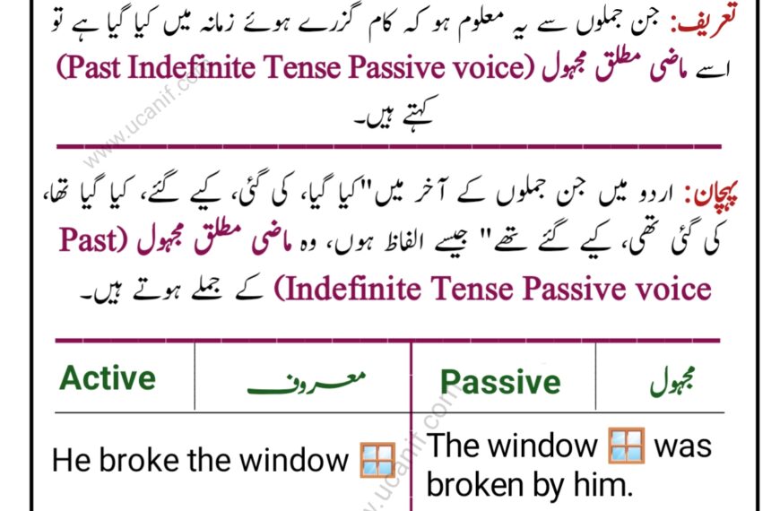 Past Indefinite Tense Passive Voice in Urdu with Examples