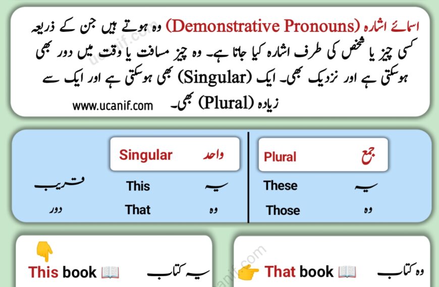 Demonstrative Pronouns in Urdu – Meaning, Definition and Examples