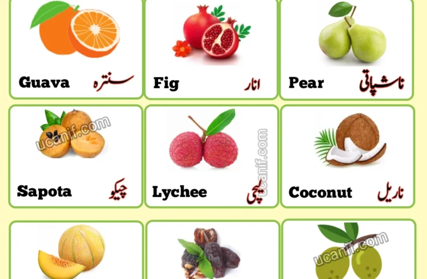 fruits name in urdu