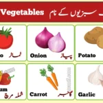 Vegetables Name in Urdu