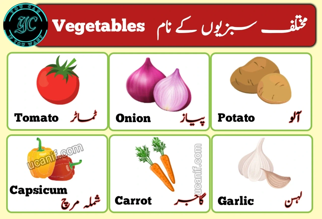 40+ Popular Vegetables Name in Urdu & English with Pictures | PDF