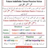 future indefinite tense passive voice urdu