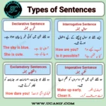 types of sentences in urdu