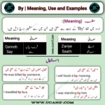 By Meaning in Urdu