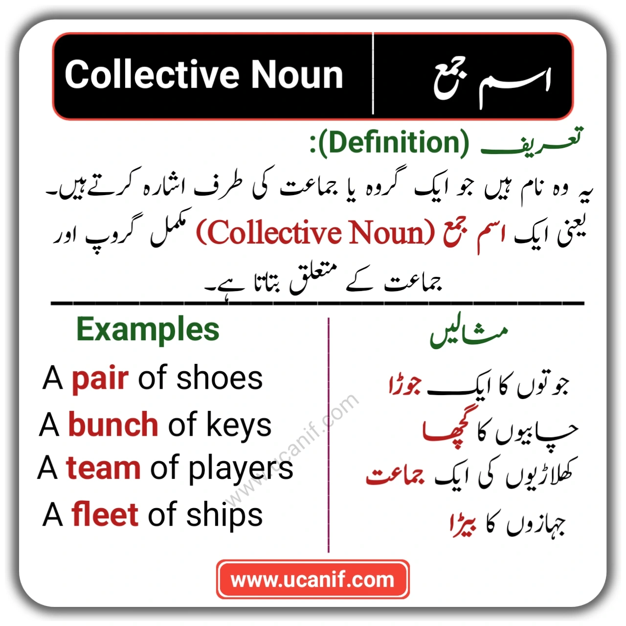 Collective Nouns in Urdu | Meaning & 30+ Useful Examples – اسم جمع