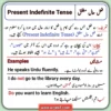present indefinite tense urdu