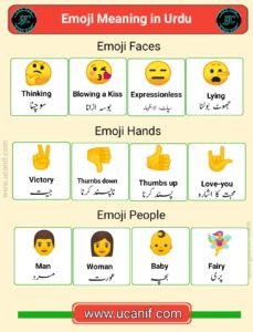 100+ Emoji Meaning In Urdu (2025) – 🤙🏻 🖕🏻 🙄 WhatsApp Emoji Meanings