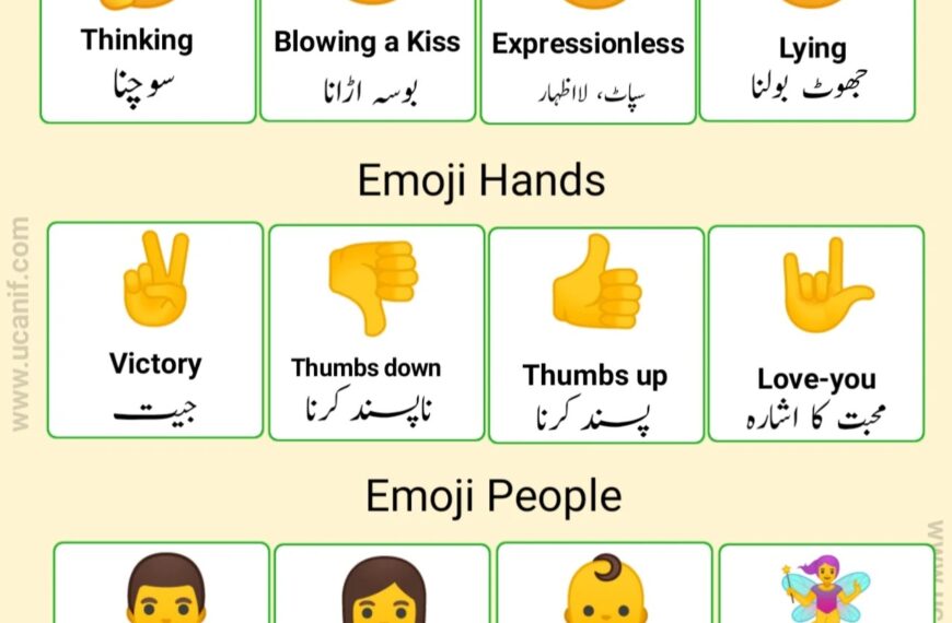 emoji meaning in urdu