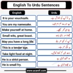 English Sentences with Urdu Meaning, english to Urdu sentences
