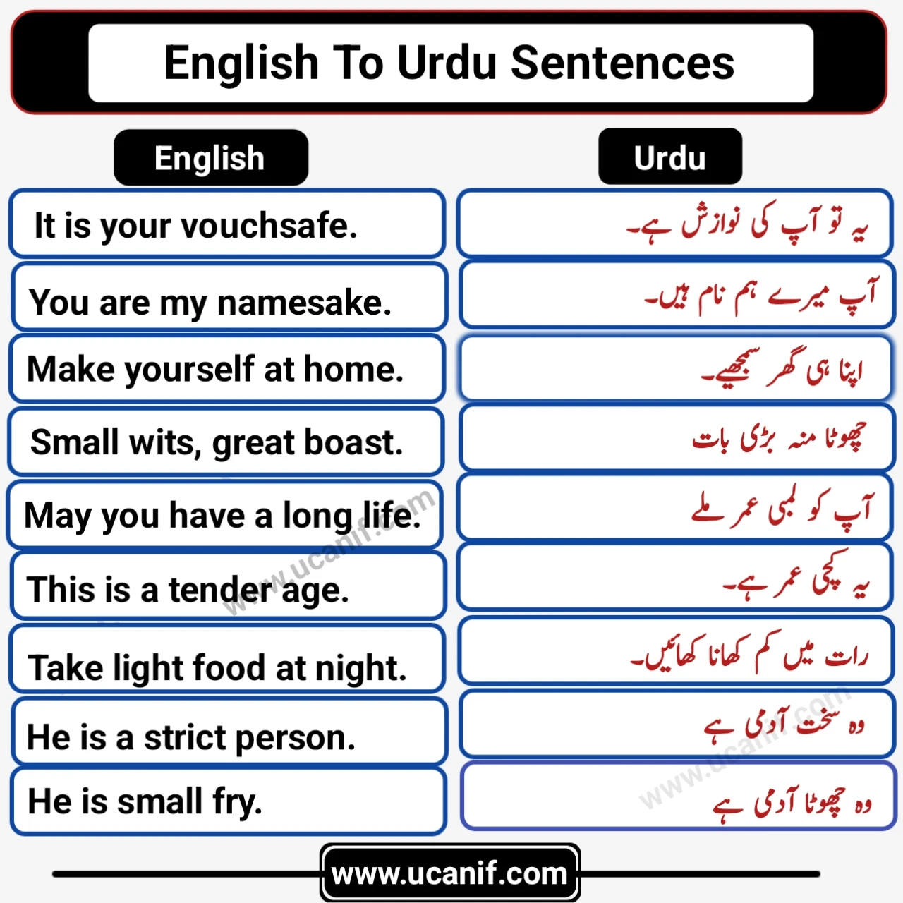 100+ Useful English To Urdu Sentences