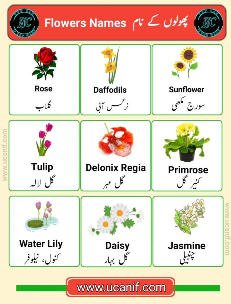 flowers name in urdu