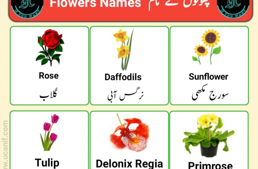 flowers name in urdu
