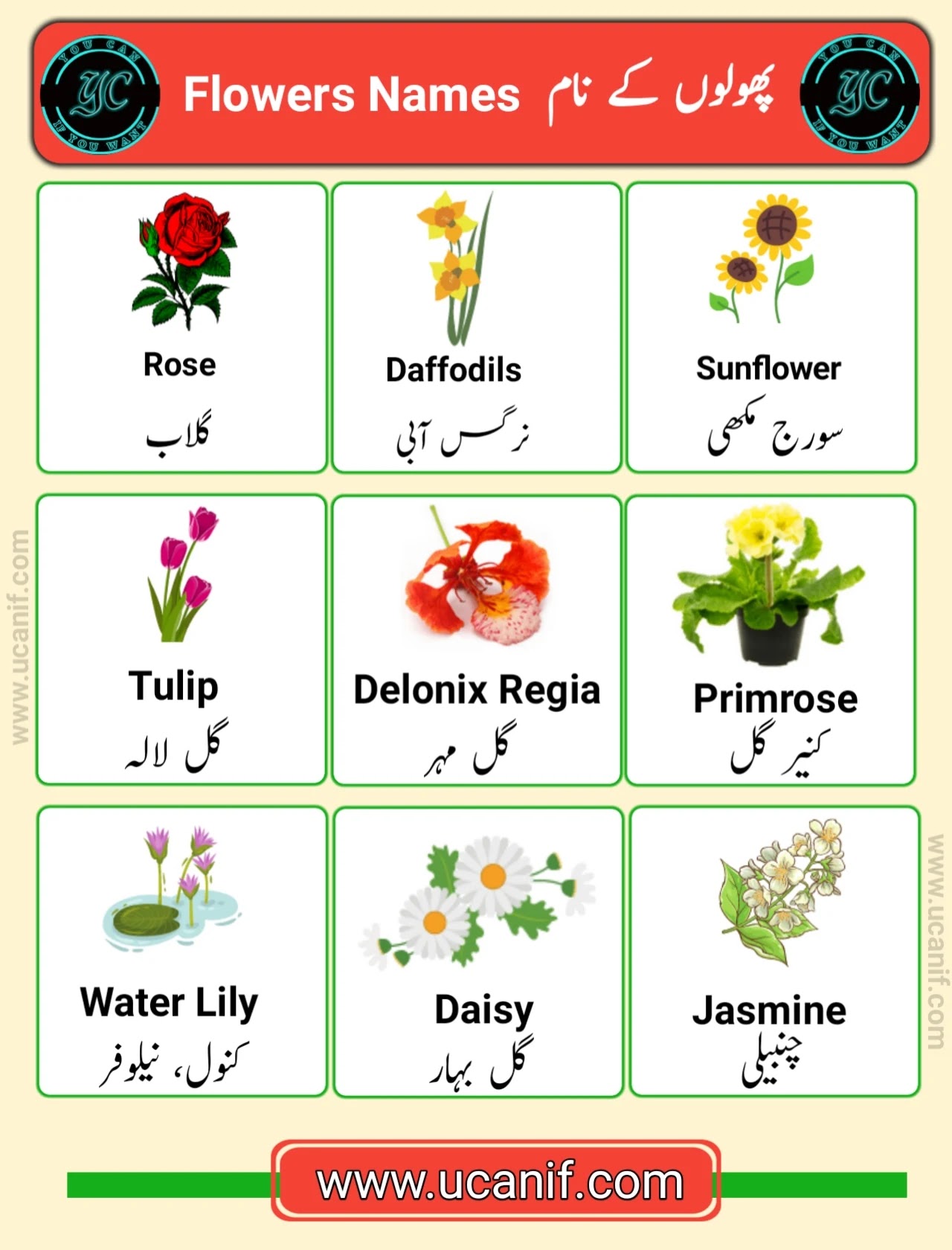 flowers name in urdu